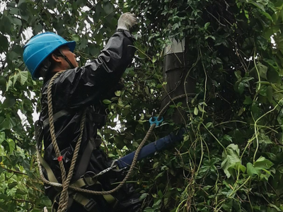 為戰(zhàn)臺風(fēng)保供電，創(chuàng)輝電氣這樣做